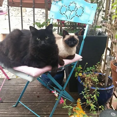 La Maison Des Artistes בית הארחה