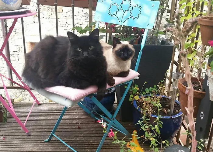 La Maison Des Artistes Pensjonat